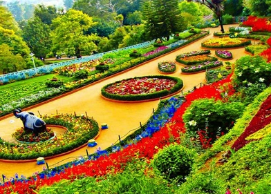 Rose Garden Ooty